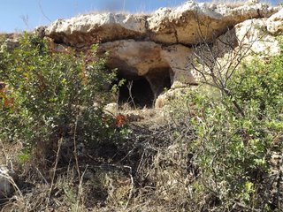 Necropoli cava Secchiera